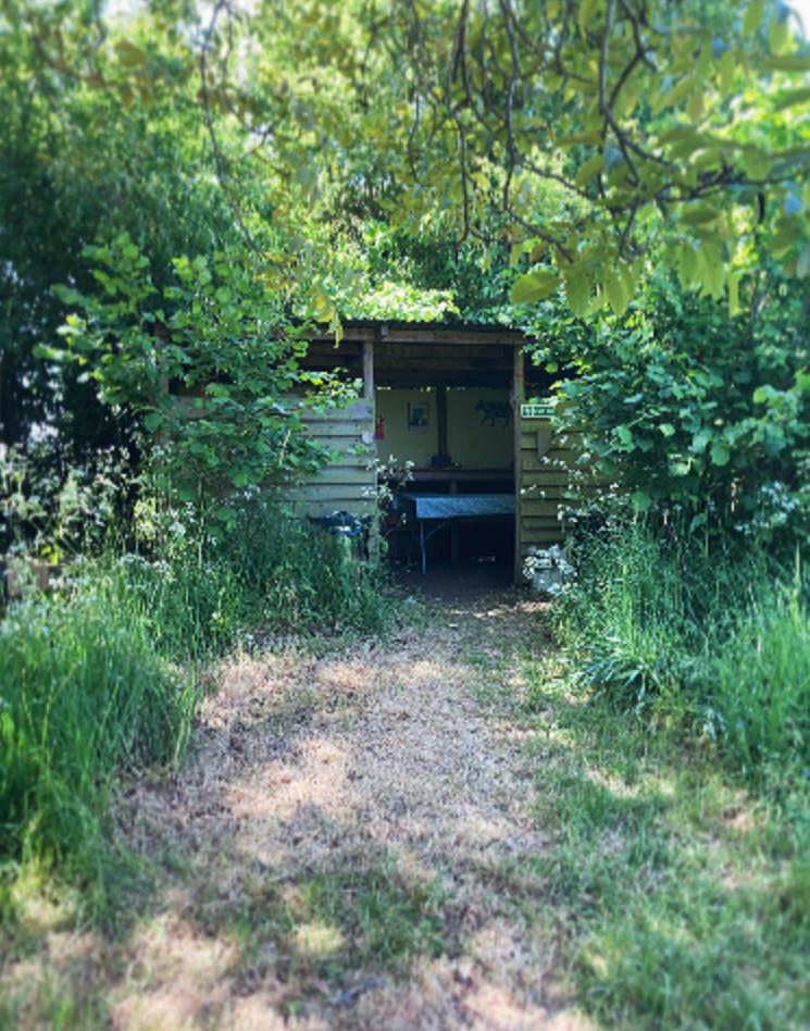 Outdoor View of Campsite Kitchen
