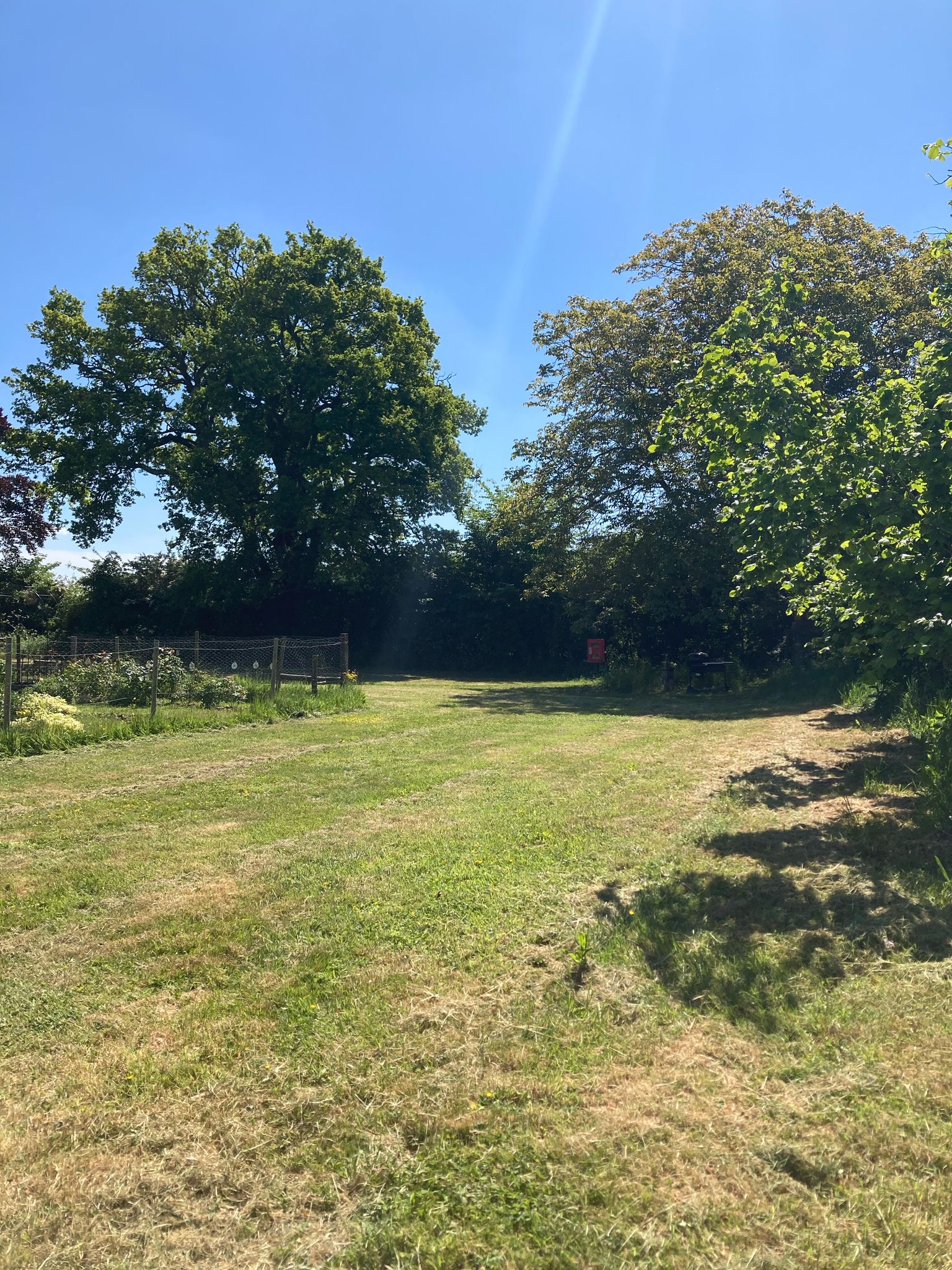 Wide View of the Campsite