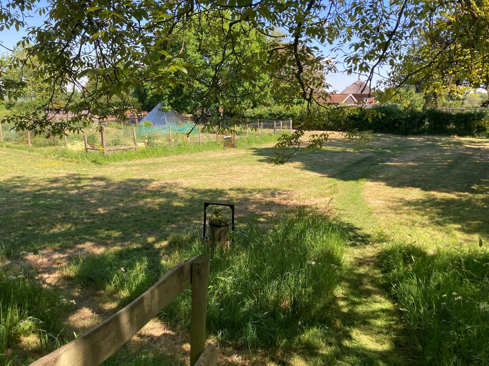 Campsite with Trees and Tents
