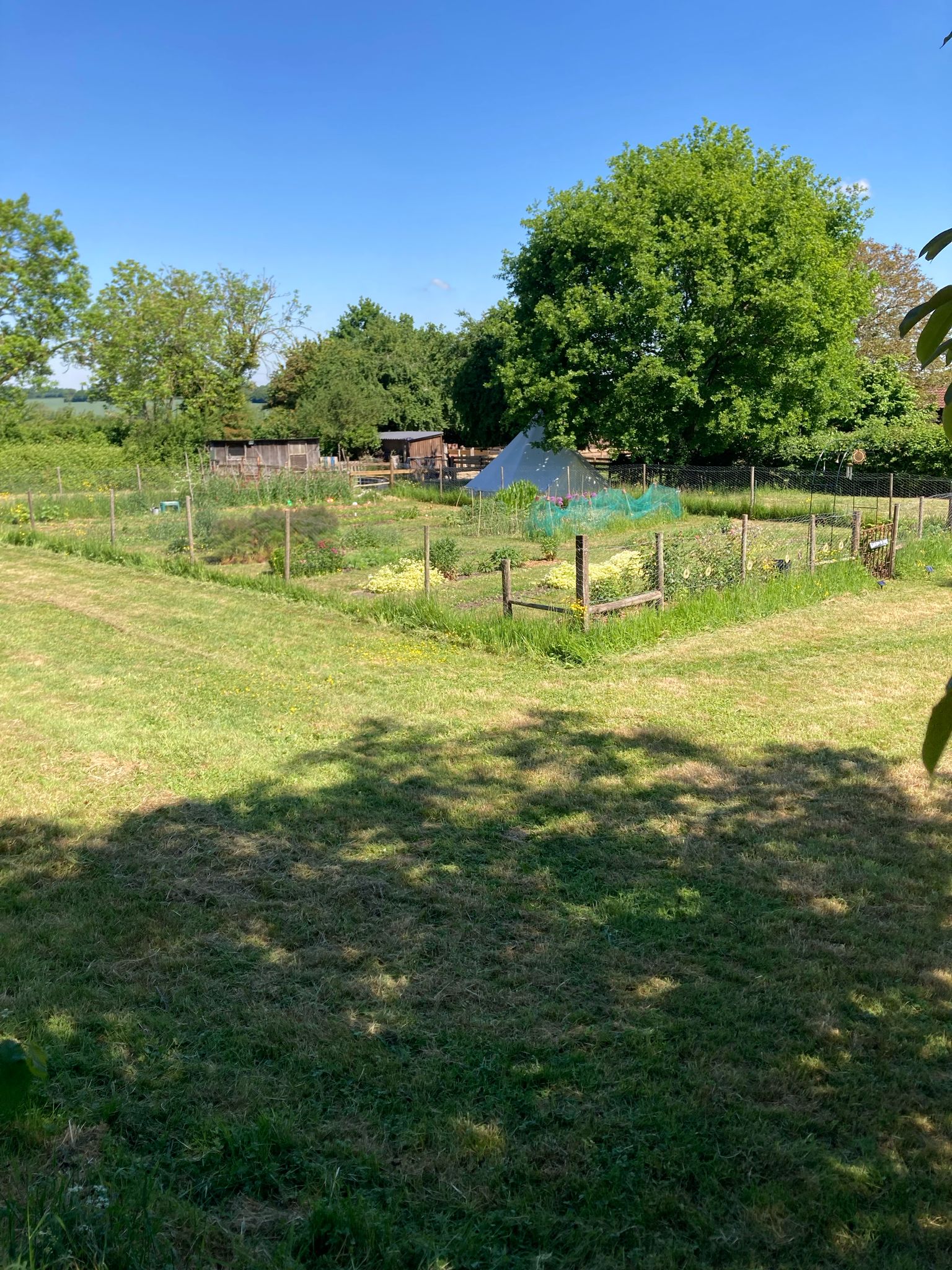 Open Space at the Site