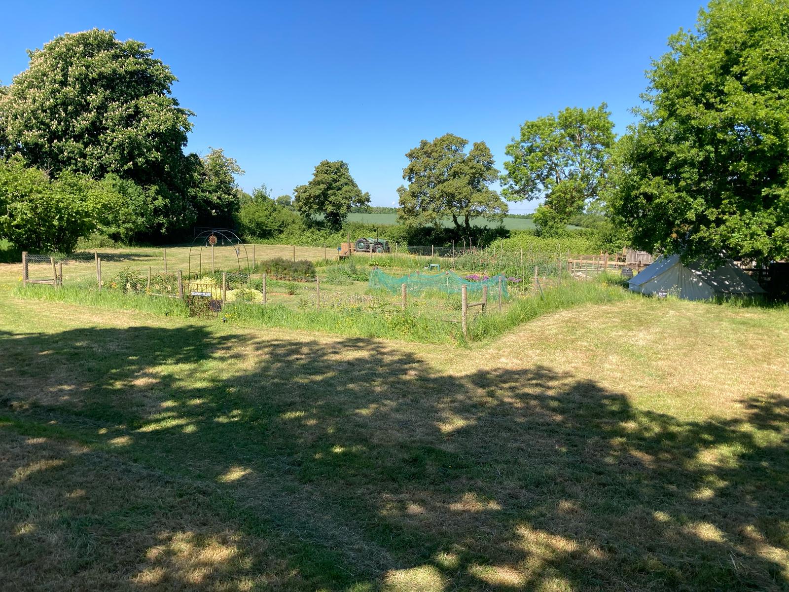Overview of the Site Grounds